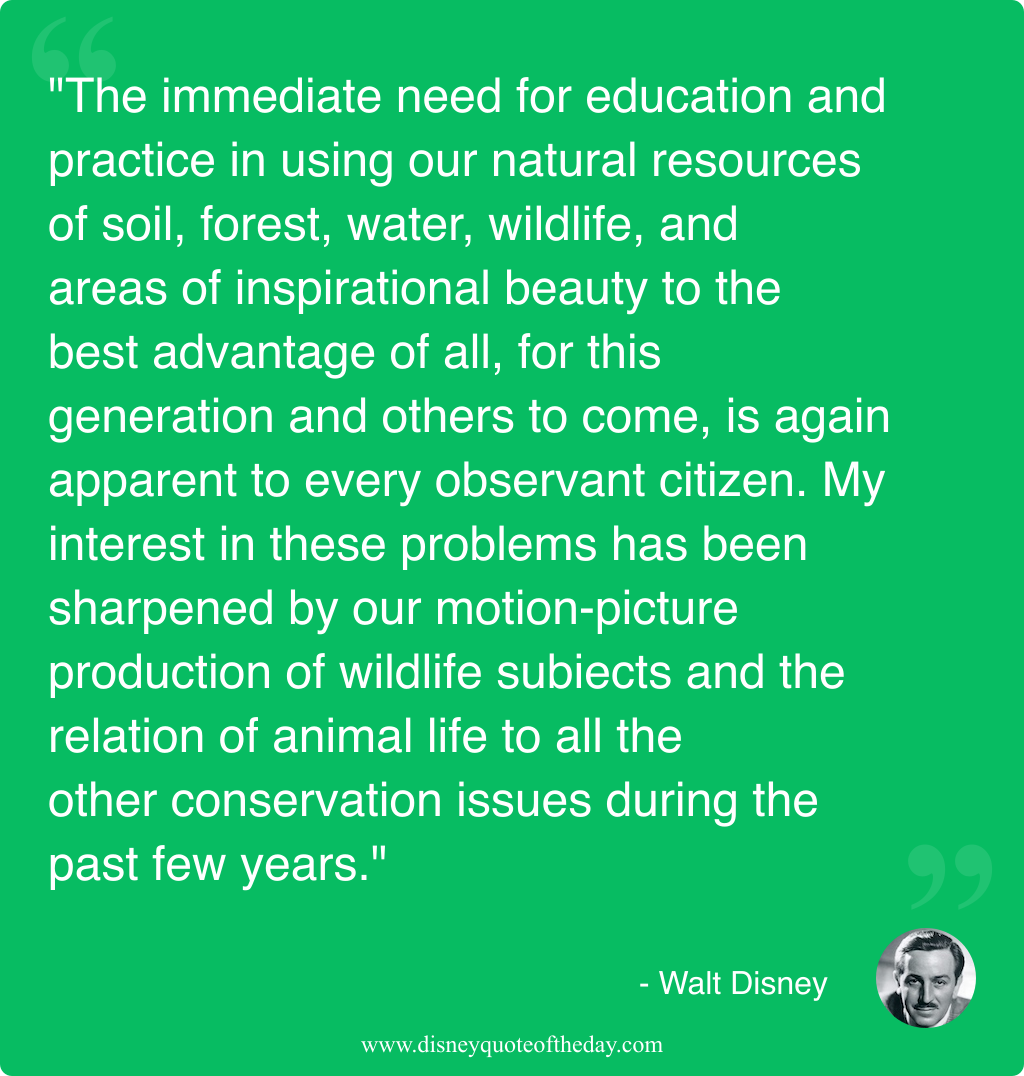 Quote by Walt Disney, "The immediate need for education..."