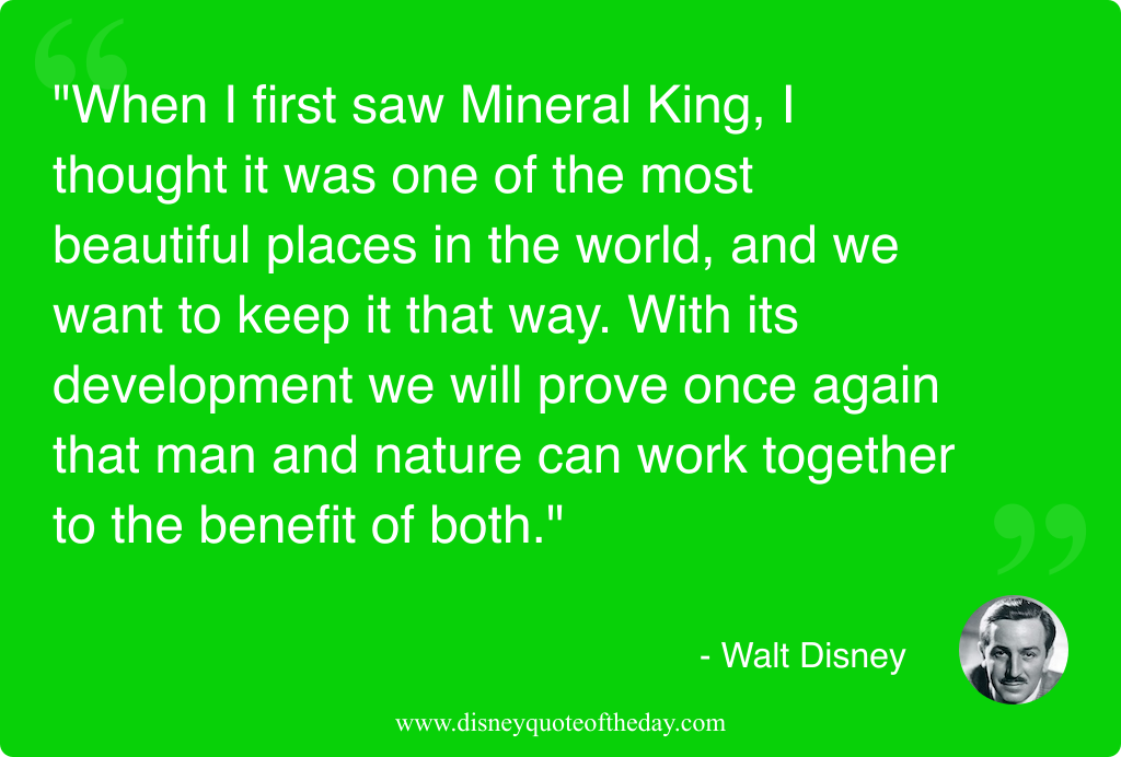 Quote by Walt Disney, "When I first saw Mineral..."