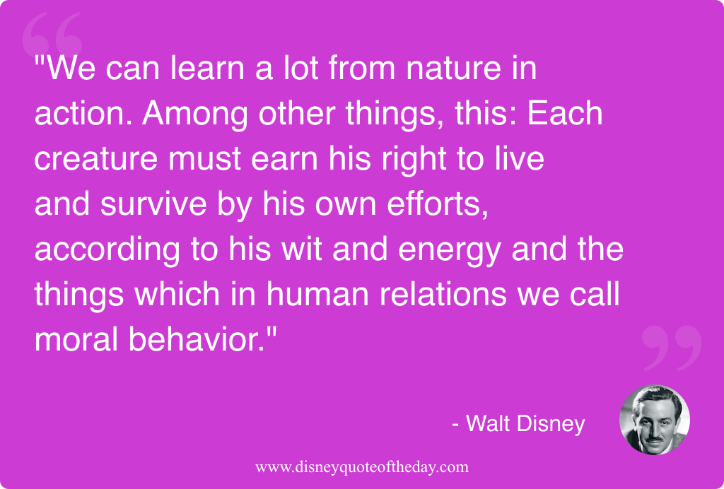 Quote by Walt Disney, "We can learn a lot..."