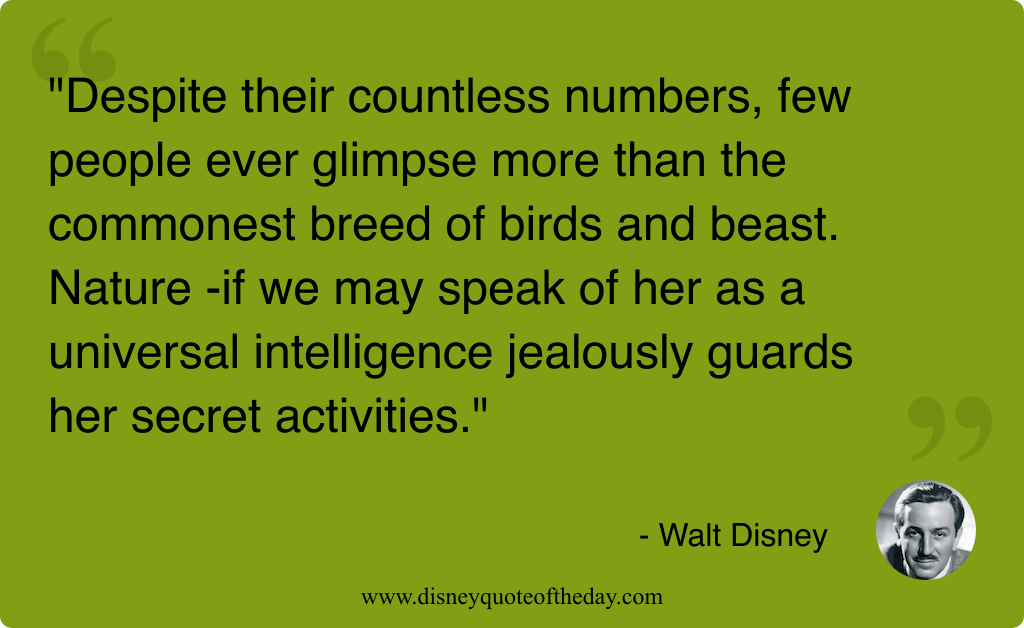 Quote by Walt Disney, "Despite their countless numbers few..."